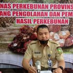 Kepala Bidang (Kabid) Pengolahan dan Pemasaran, Dinas Perkebunan (Disbun) Provinsi Riau, Defris Hatmaja