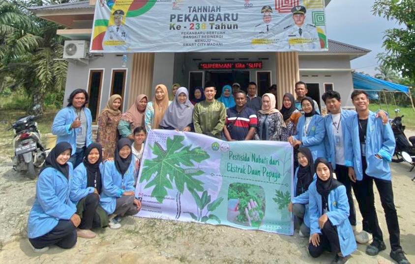 Mahasiswa Kukerta UNRI Kelurahan Maharani Gelar Sosialisasi Pembuatan Pestisida Nabati dari Ekstrak Daun Pepaya