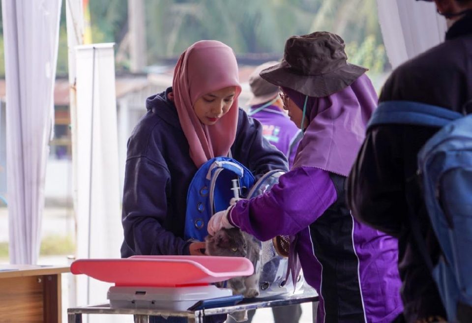 Sukses Digelar, Ratusan Hewan Divaksin Rabies