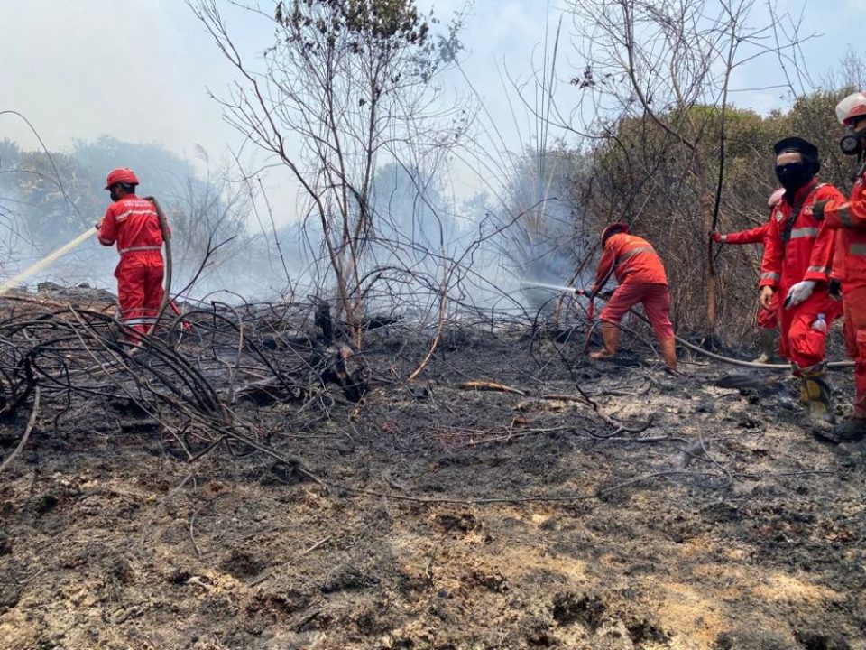 Wakil Menteri LHK, Dorong Pemda Tetapkan Status Siaga Darurat Karhutla